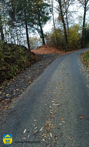 pobocze Łazy (1).jpg