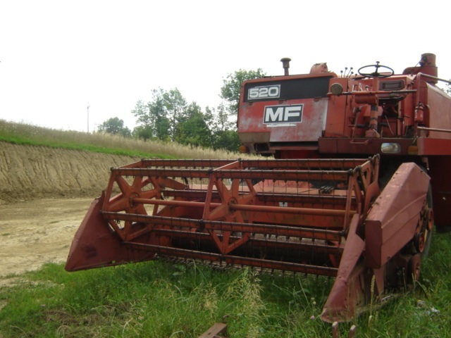 33.jpg