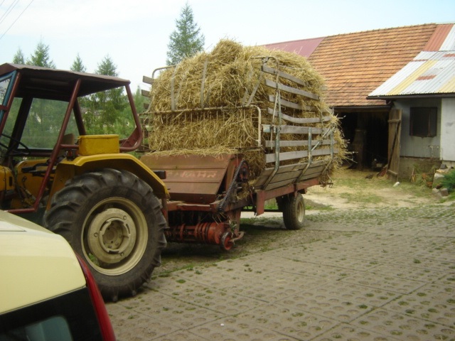 44.jpg
